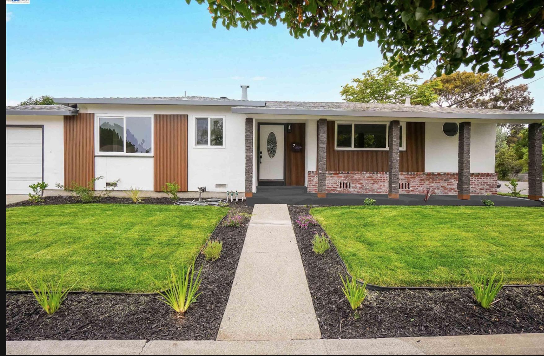 Front yard with mature tree